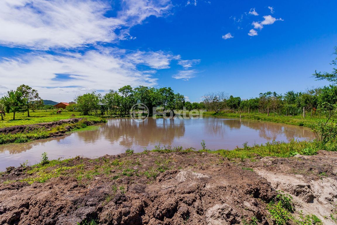 sitio chachara fazenda para comprar em Otaviano José Pinto, 5599 - foto 73