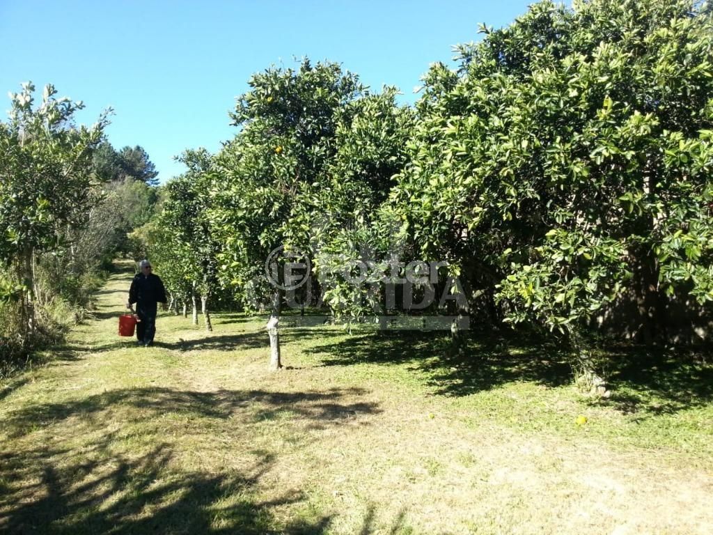 Foto 0