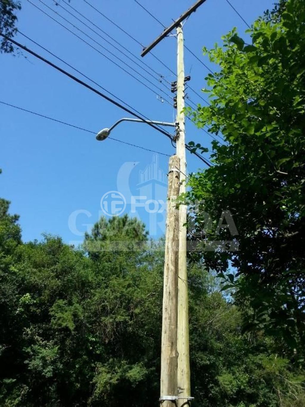 terreno lote condominio para comprar em Afonso Lourenço Mariante, 2892 - foto 7