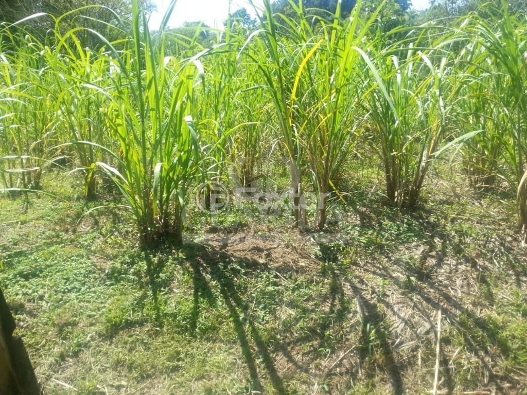 terreno lote condominio para comprar em Afonso Lourenço Mariante, 2892 - foto 8