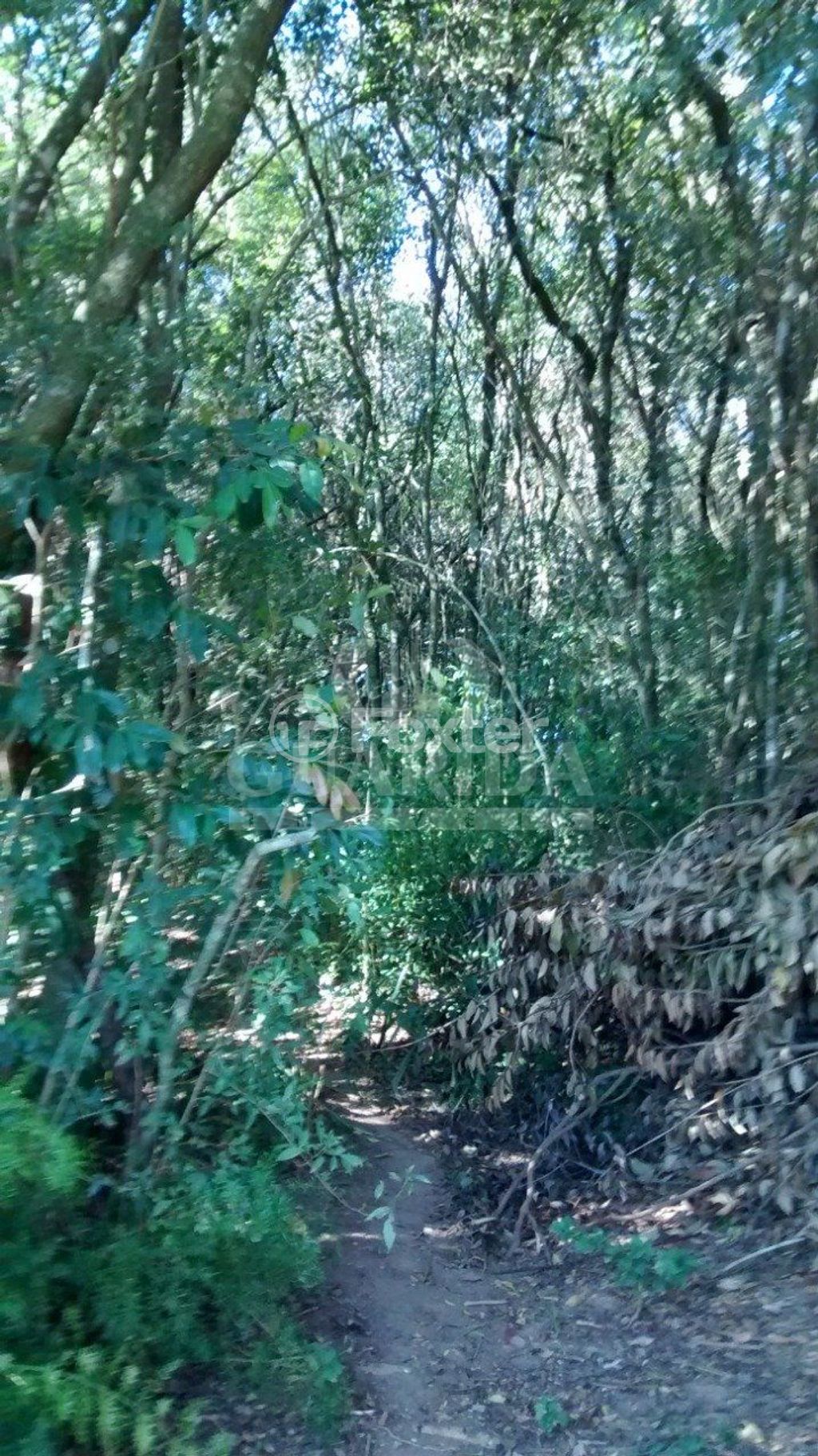 Foto do Anuncio