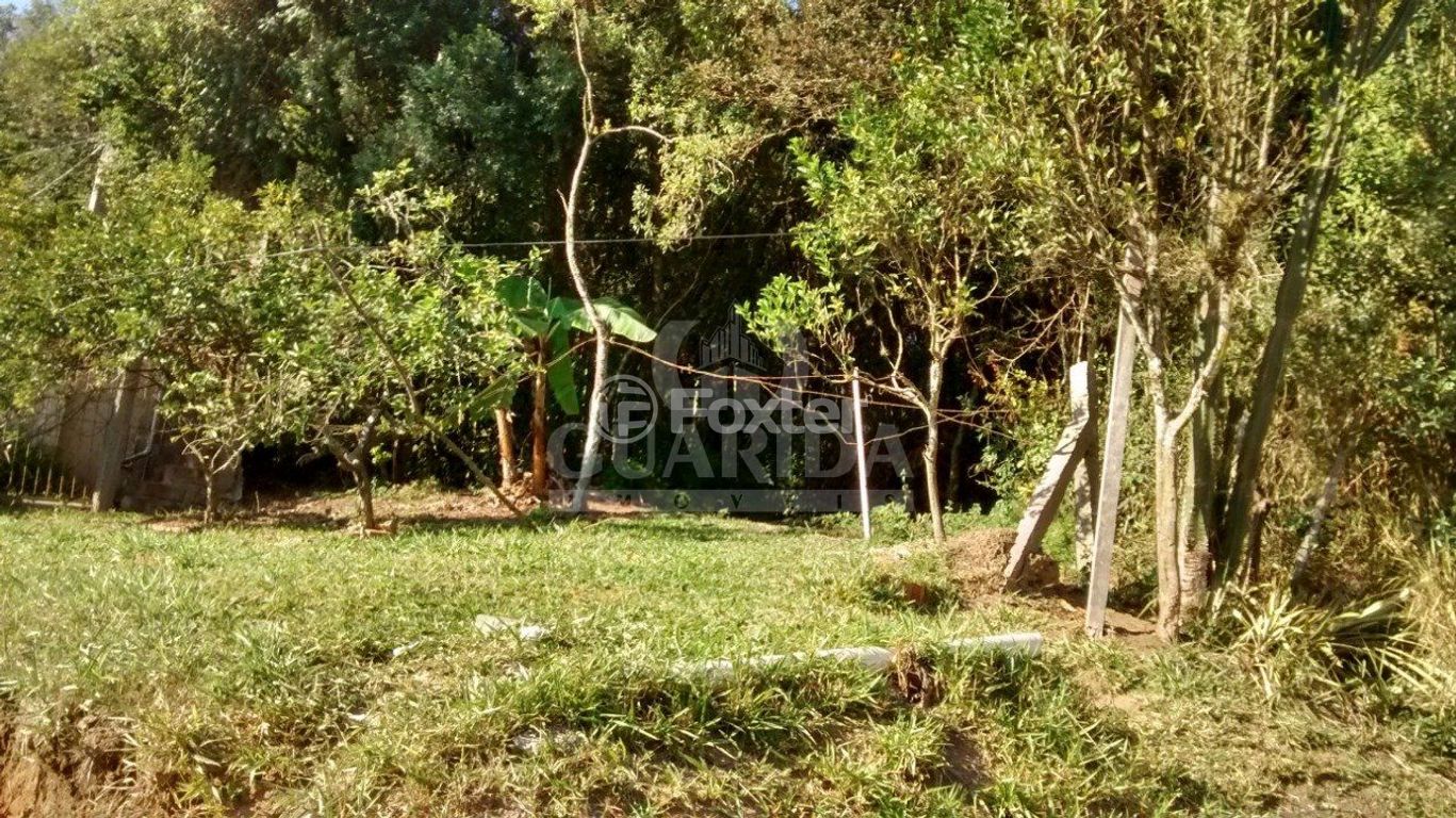 Foto do Anuncio