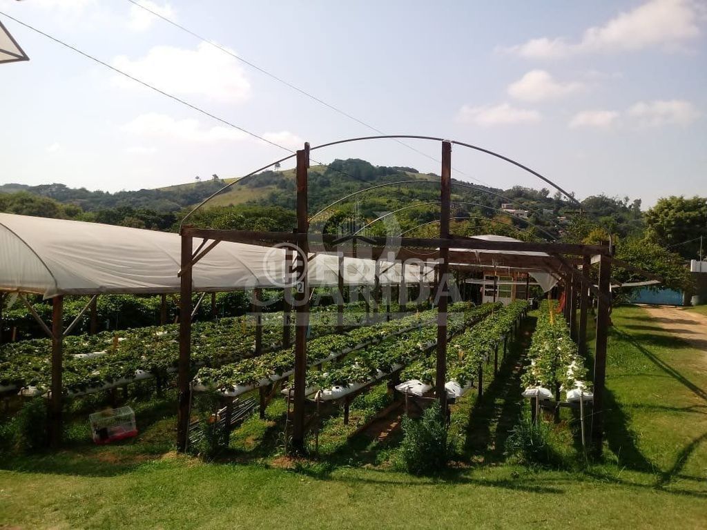 sitio chachara fazenda para comprar em João Passuelo, 1150 - foto 20
