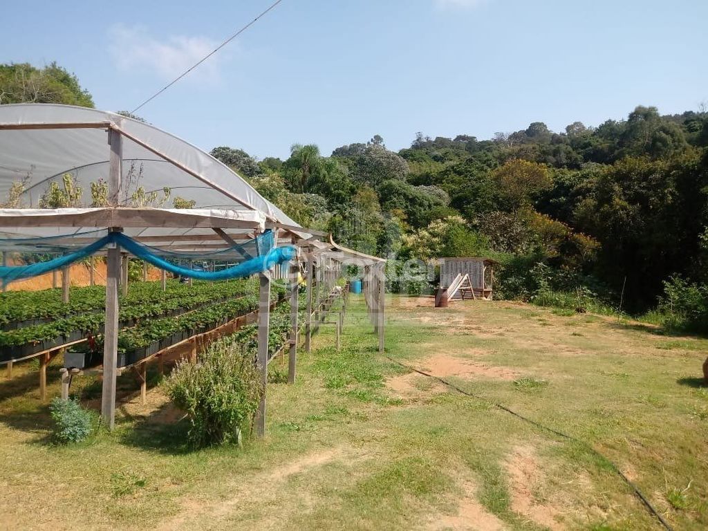 sitio chachara fazenda para comprar em João Passuelo, 1150 - foto 23