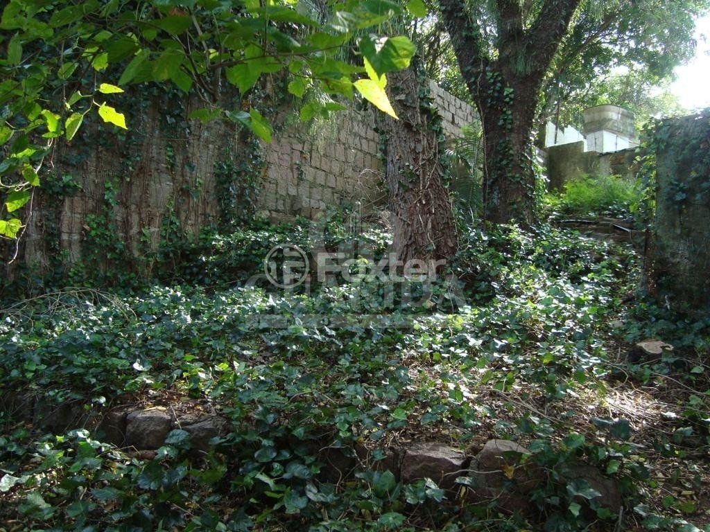 terreno lote condominio para comprar em Oscar Schneider, 318 - foto 7