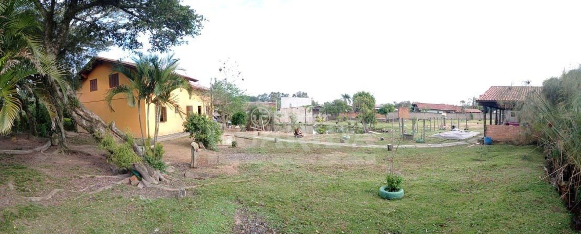 sitio chachara fazenda para comprar em do Jesuíno, 590 - foto 7