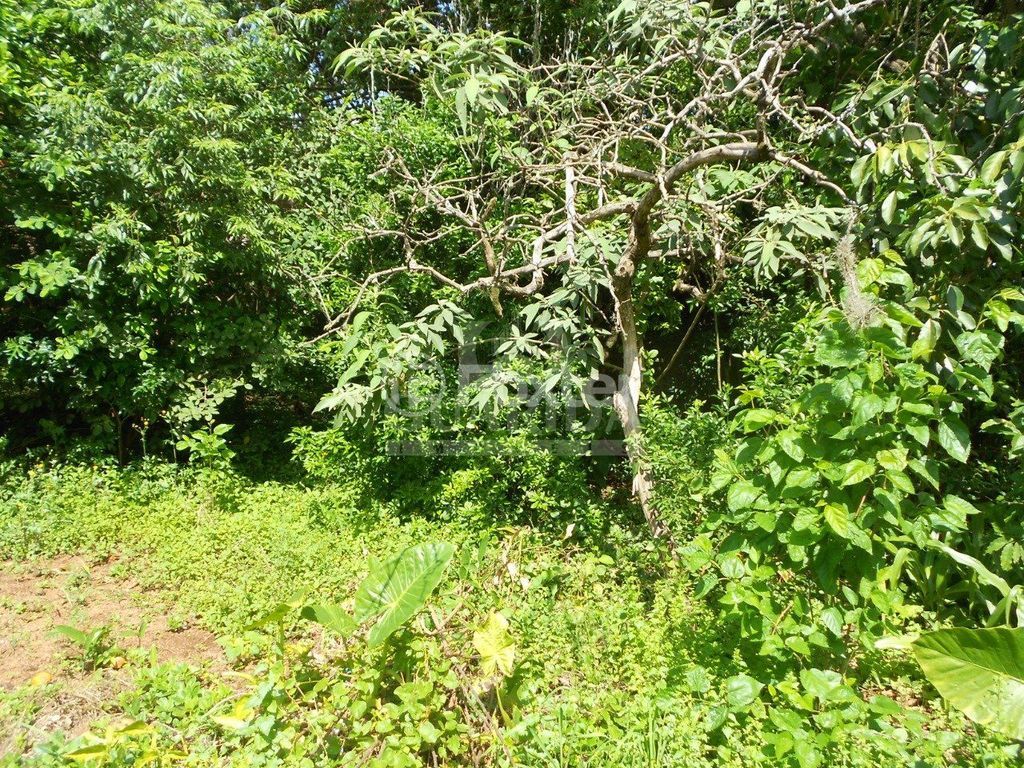 casa sobrado para comprar em Santiago Dantas, 64 - foto 24