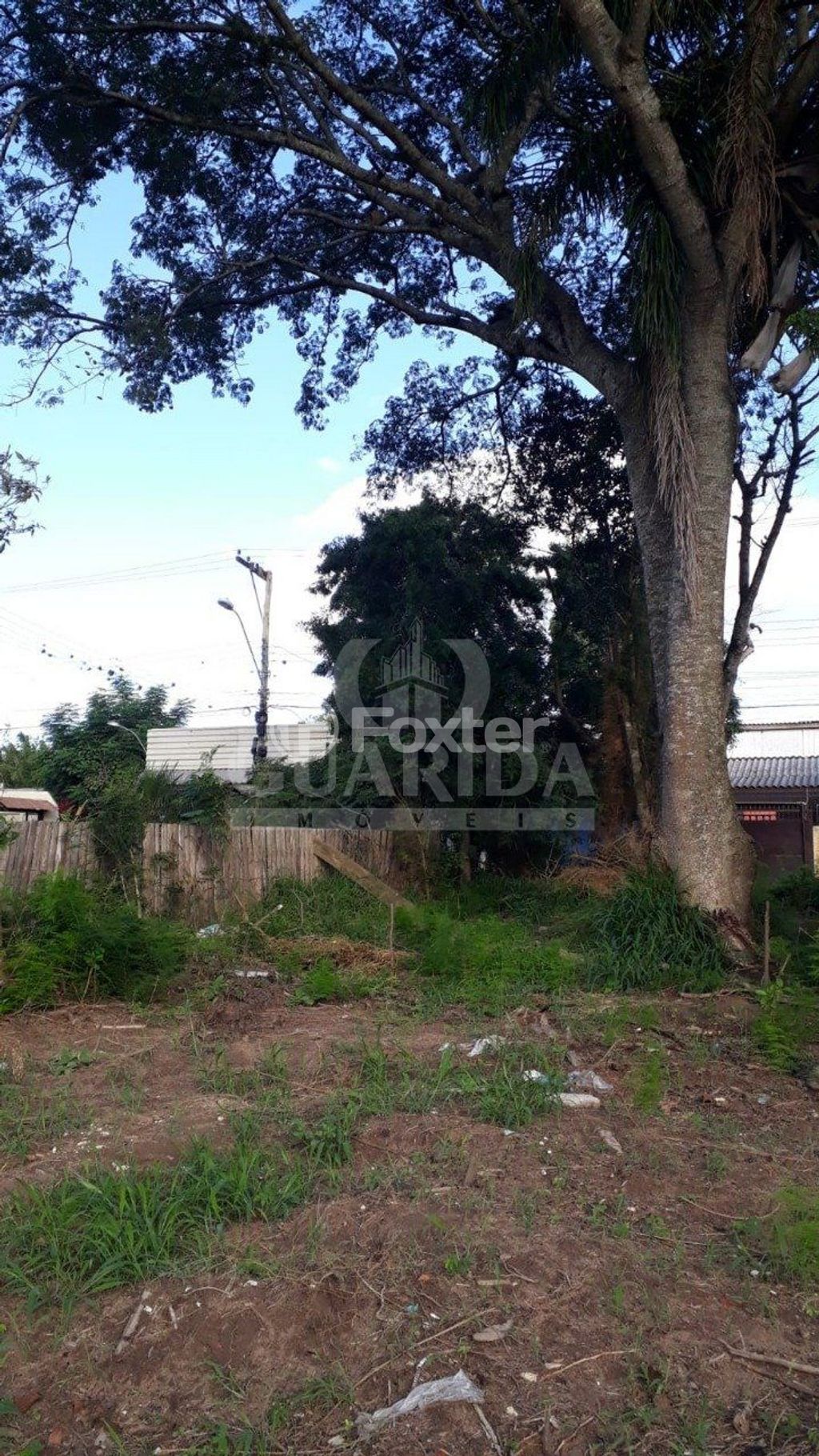 Foto 0