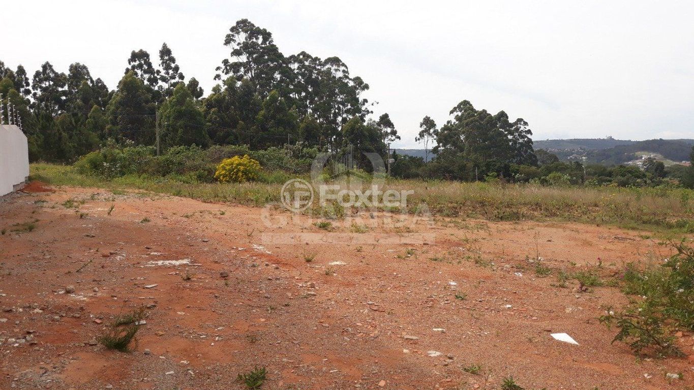 terreno lote condominio para comprar em Cristiano Kraemer, 3700 - foto 9