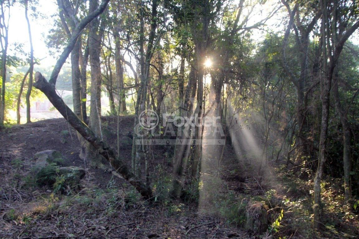 terreno lote condominio para comprar em Belém Velho, 4000 - foto 28