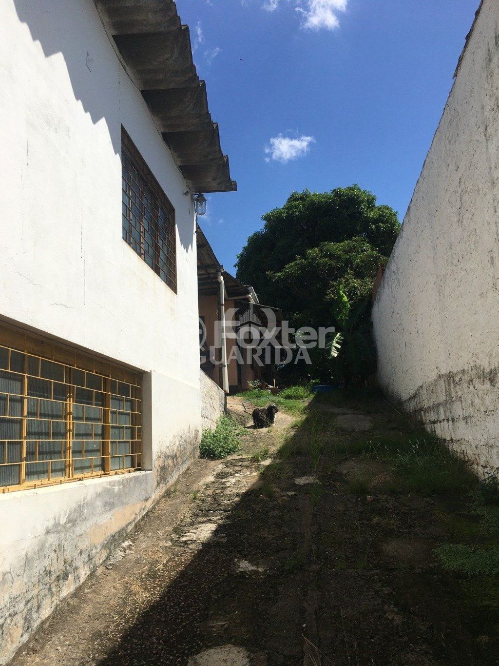 galpao deposito pavilhao para comprar em Dona Alzira, 302 - foto 22