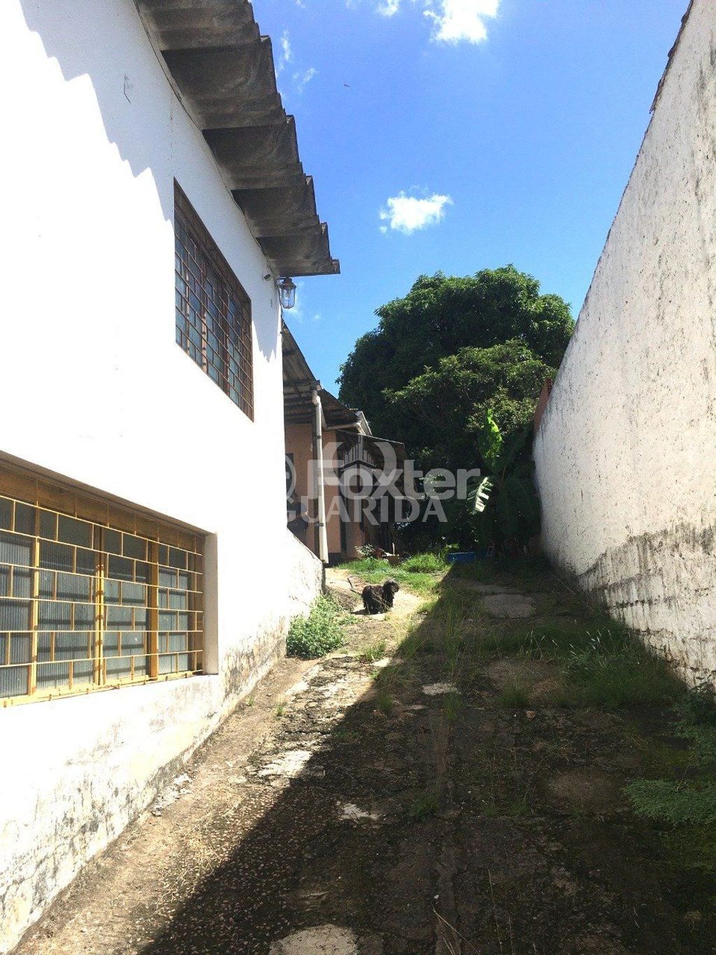 galpao deposito pavilhao para comprar em Dona Alzira, 302 - foto 24