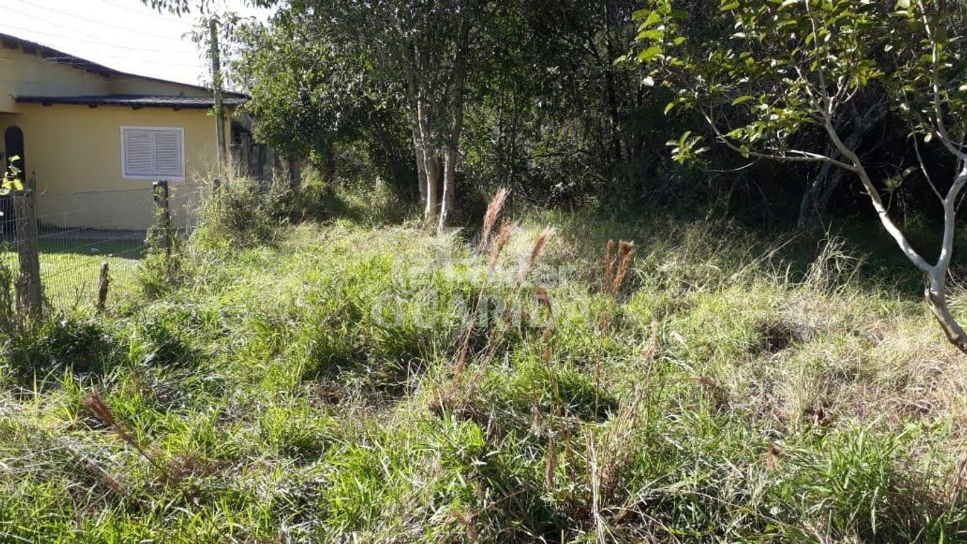 terreno lote condominio para comprar em Edgar Pires de Castro, 4346 - foto 6