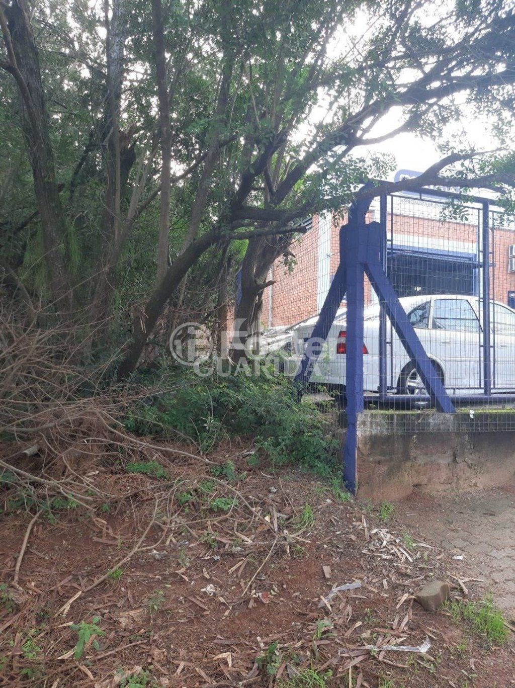 terreno lote condominio para comprar em José Zingano, 721 - foto 12