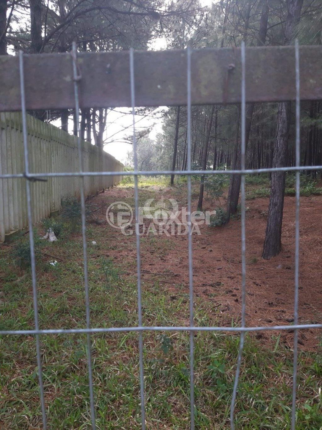 terreno lote condominio para comprar em José Zingano, 721 - foto 15