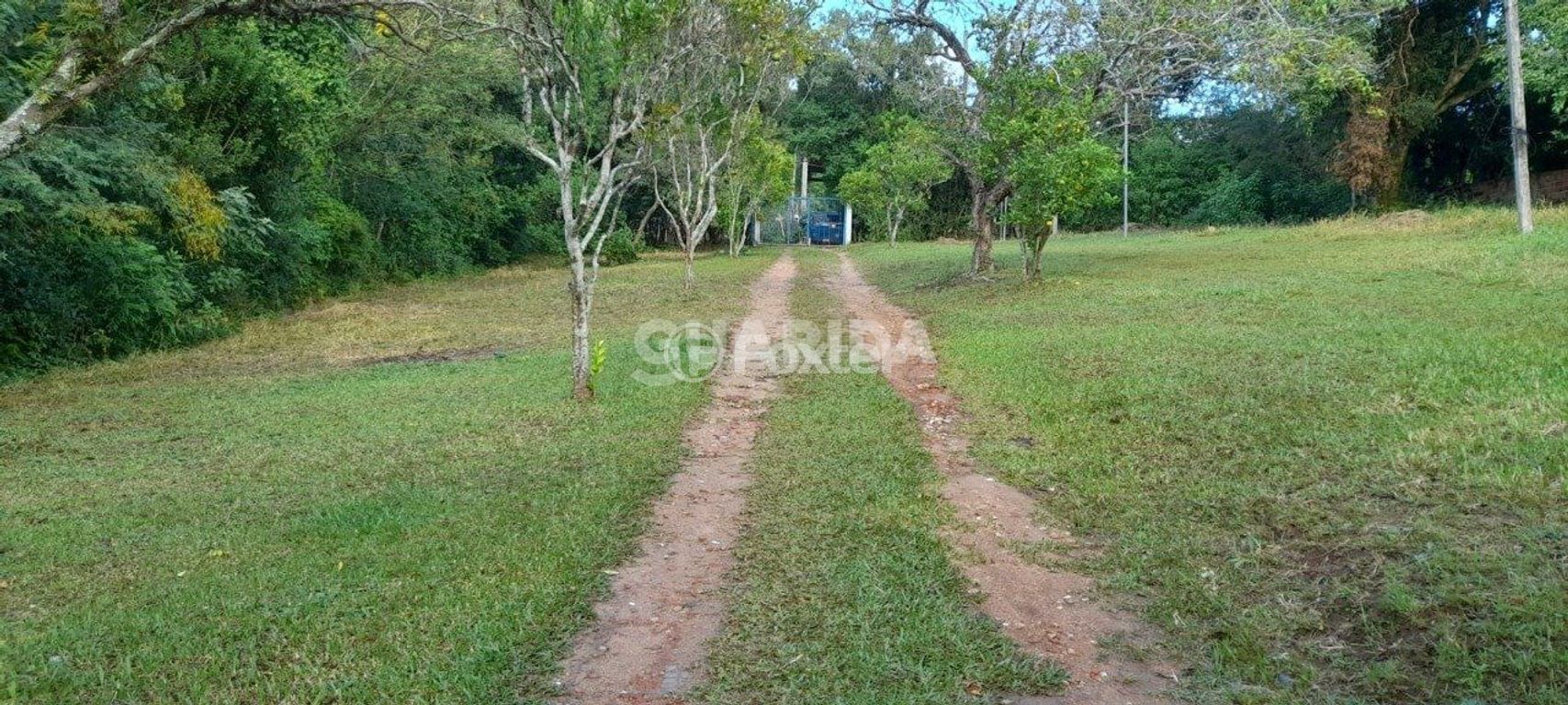 terreno lote condominio para comprar em Dona Mariana, 812 - foto 9