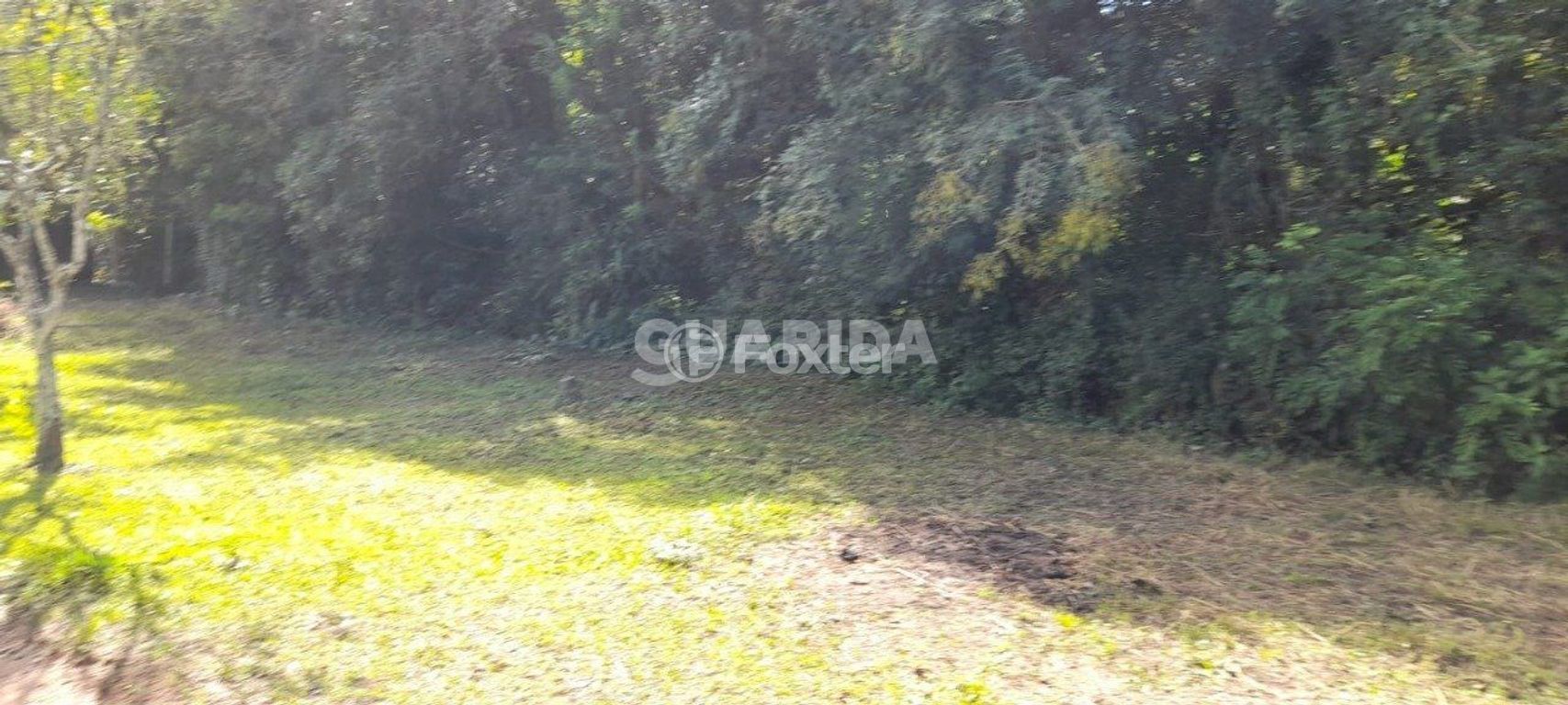 terreno lote condominio para comprar em Dona Mariana, 812 - foto 10