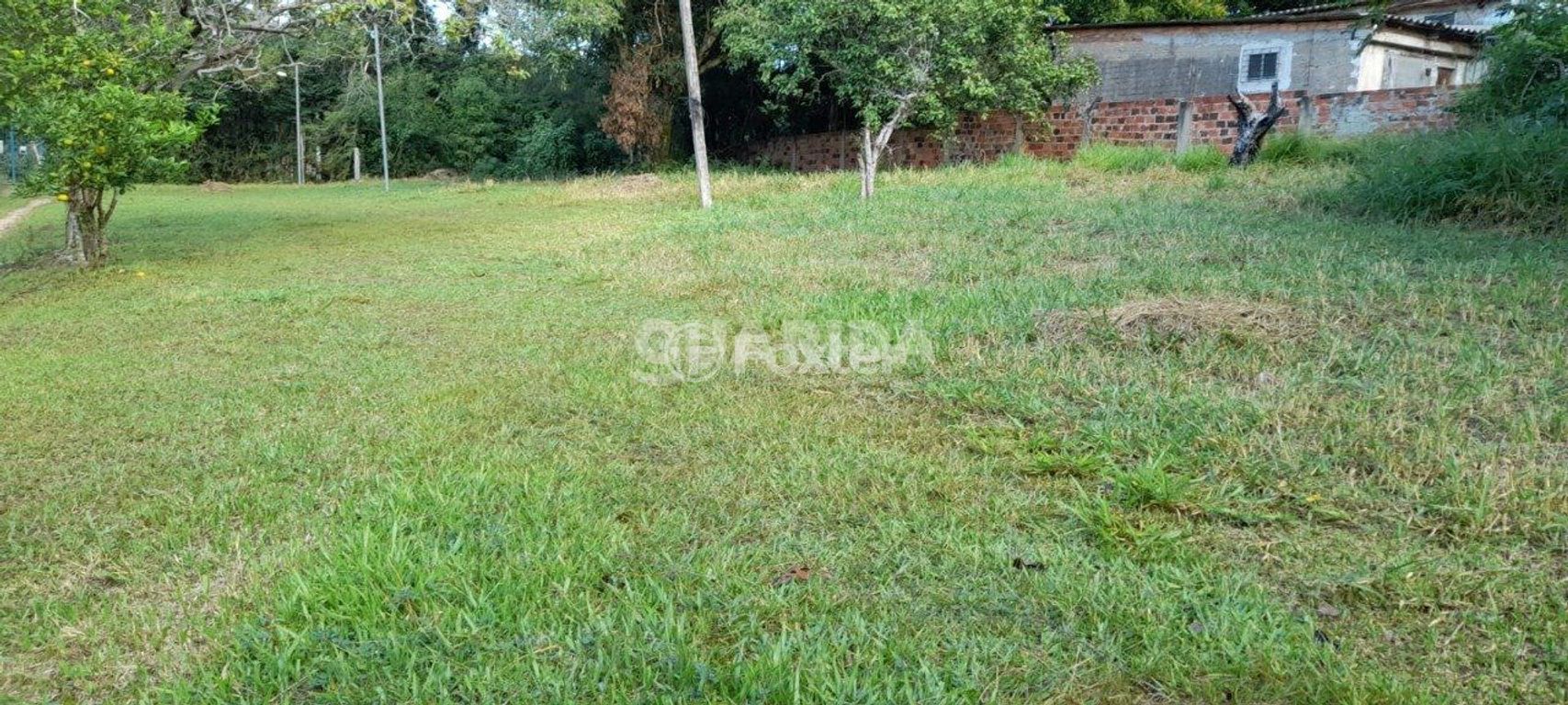 terreno lote condominio para comprar em Dona Mariana, 812 - foto 13