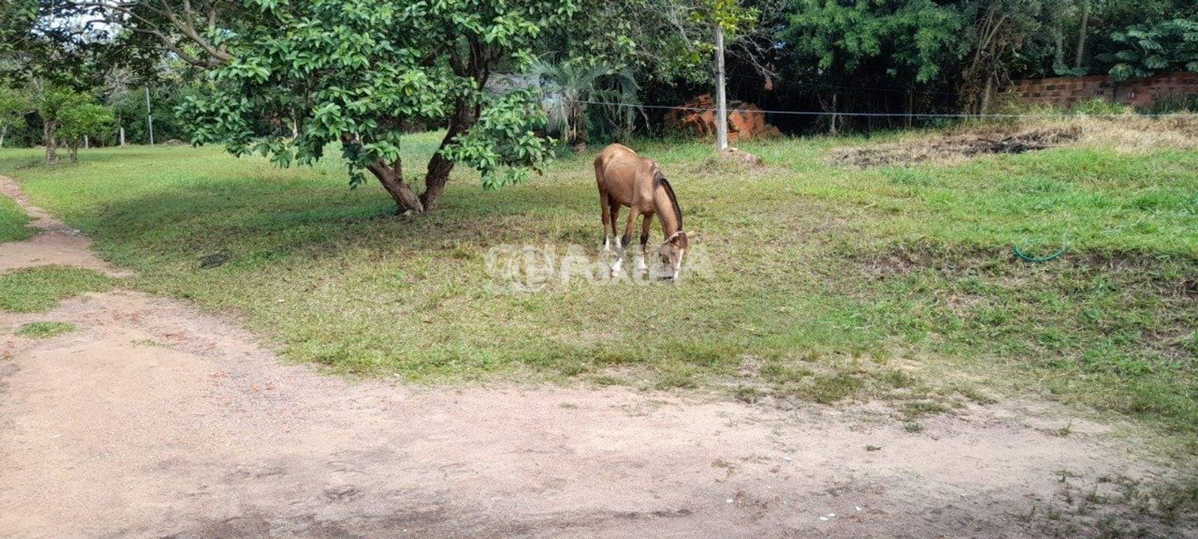 terreno lote condominio para comprar em Dona Mariana, 812 - foto 14