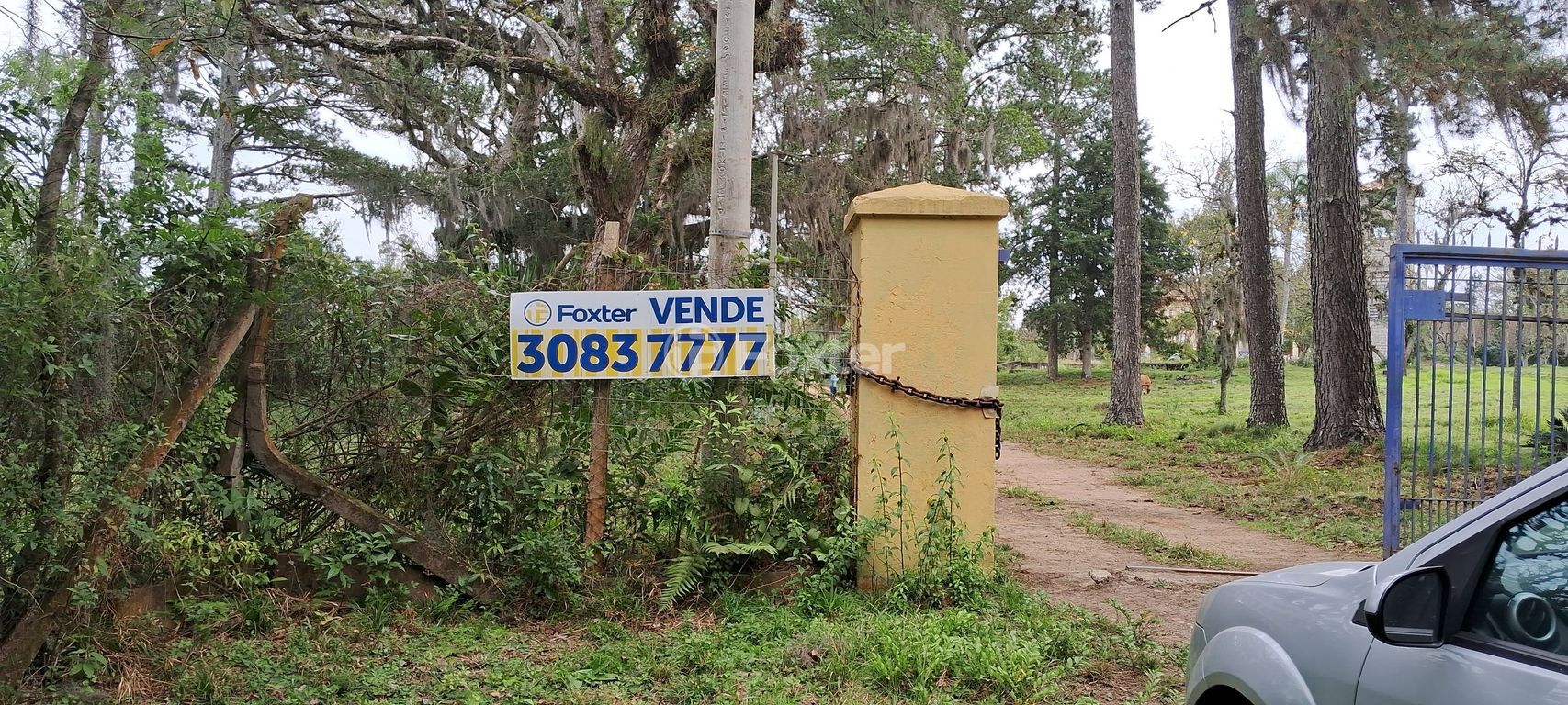 sitio chachara fazenda para comprar em Do Jaconi, 1255 - foto 25