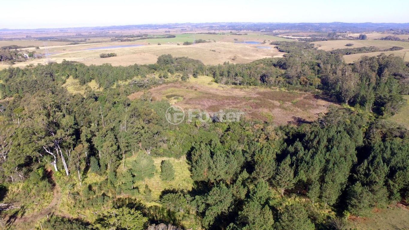 sitio chachara fazenda para comprar em Do Jaconi, 1255 - foto 9