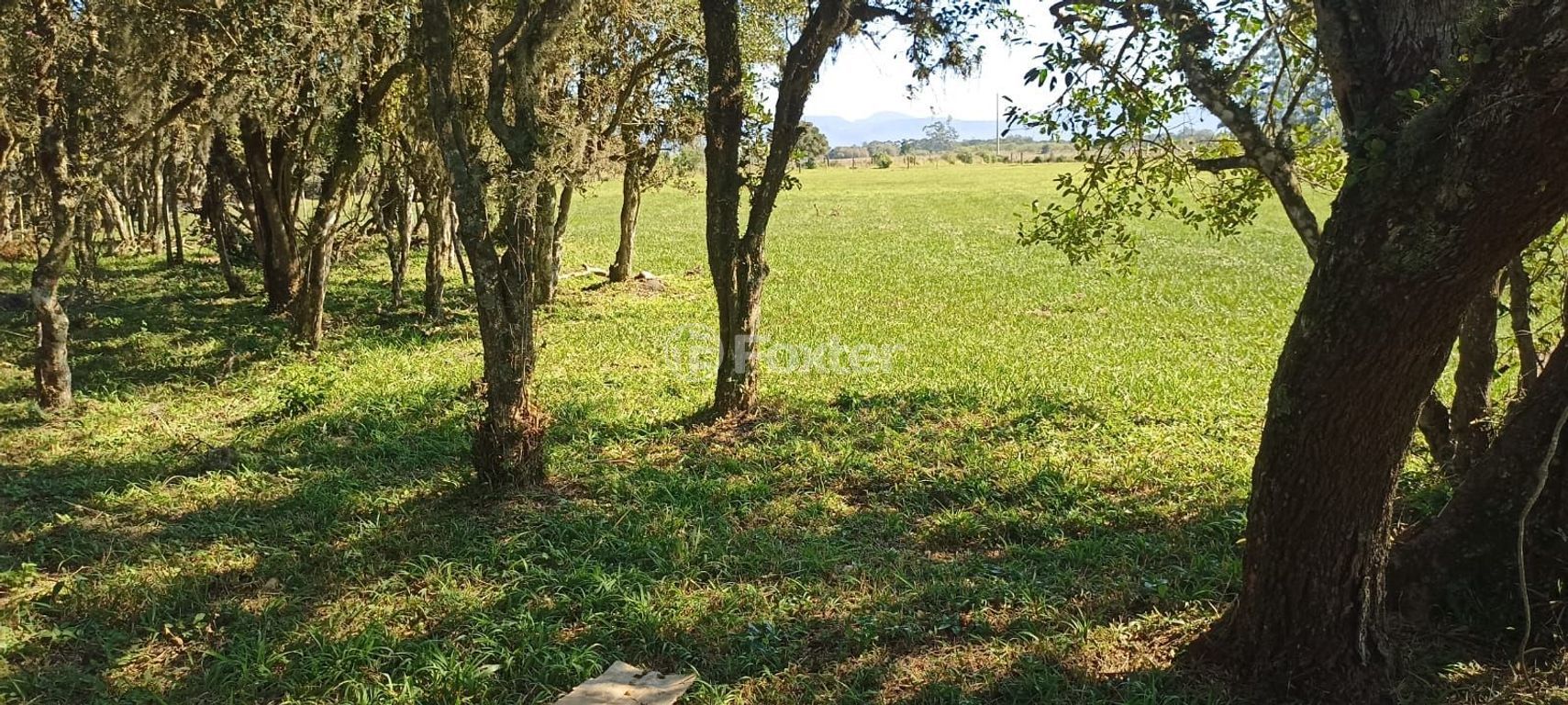 terreno lote condominio para comprar em do Palmital, km 14 - foto 17