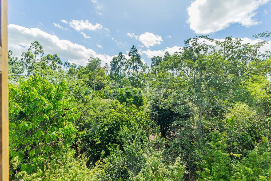 sitio chachara fazenda para comprar em dos Plátanos, 647 - foto 24