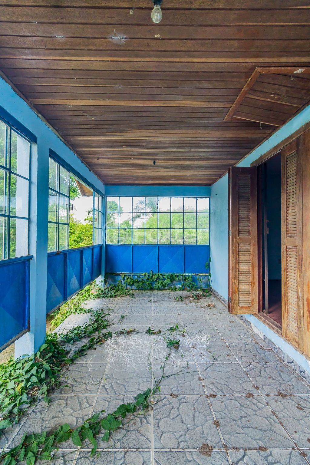sitio chachara fazenda para comprar em dos Plátanos, 647 - foto 30