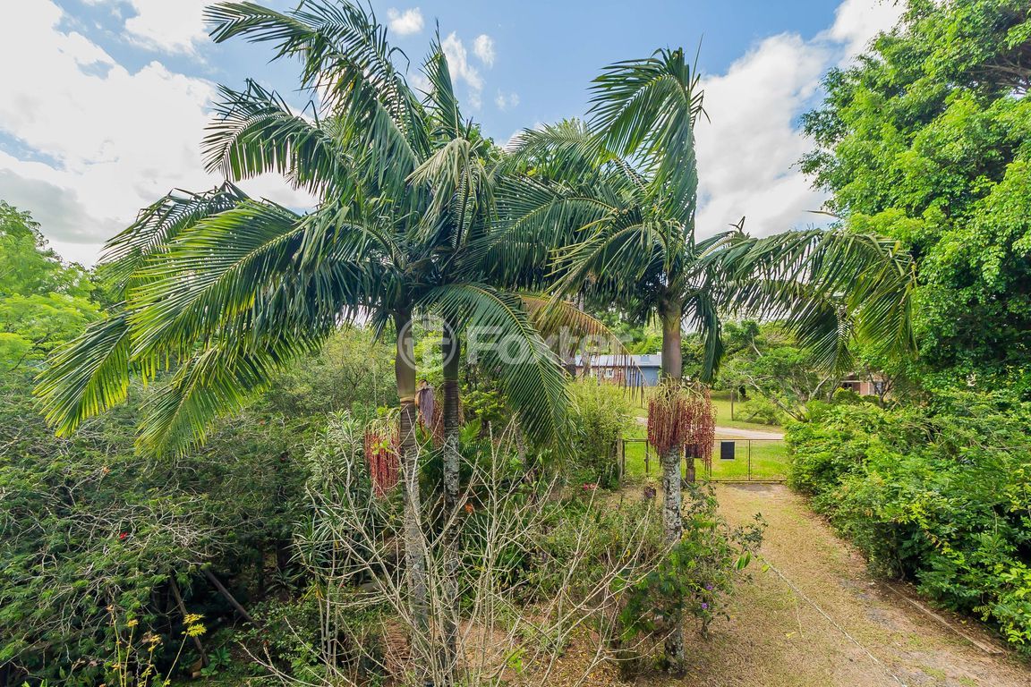 sitio chachara fazenda para comprar em dos Plátanos, 647 - foto 32