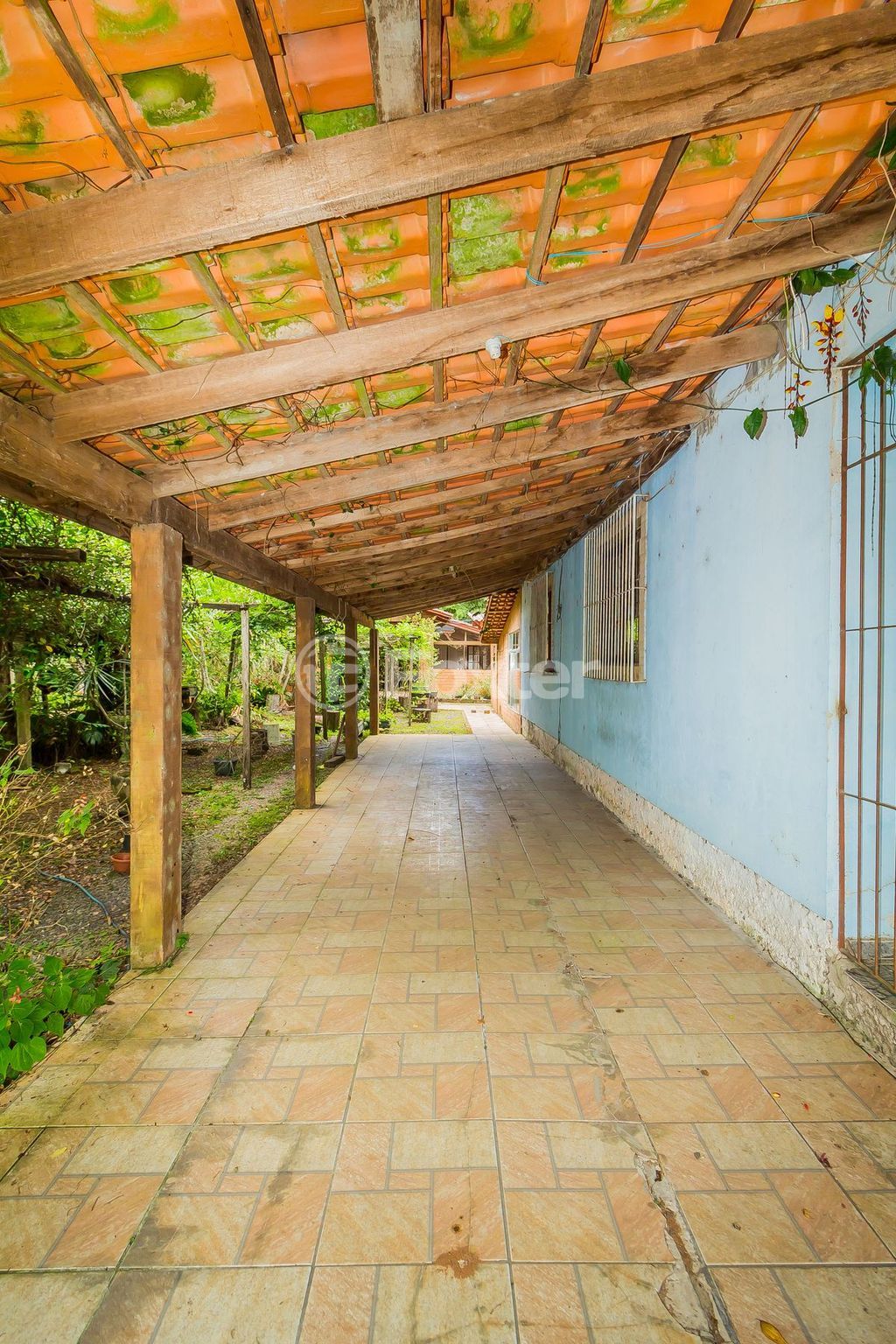 sitio chachara fazenda para comprar em dos Plátanos, 647 - foto 35
