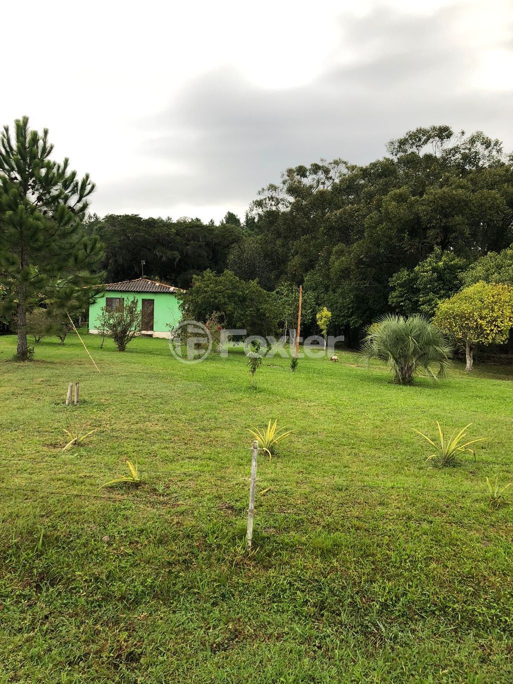 sitio chachara fazenda para comprar em Frei Pacífico, 4750 - foto 9