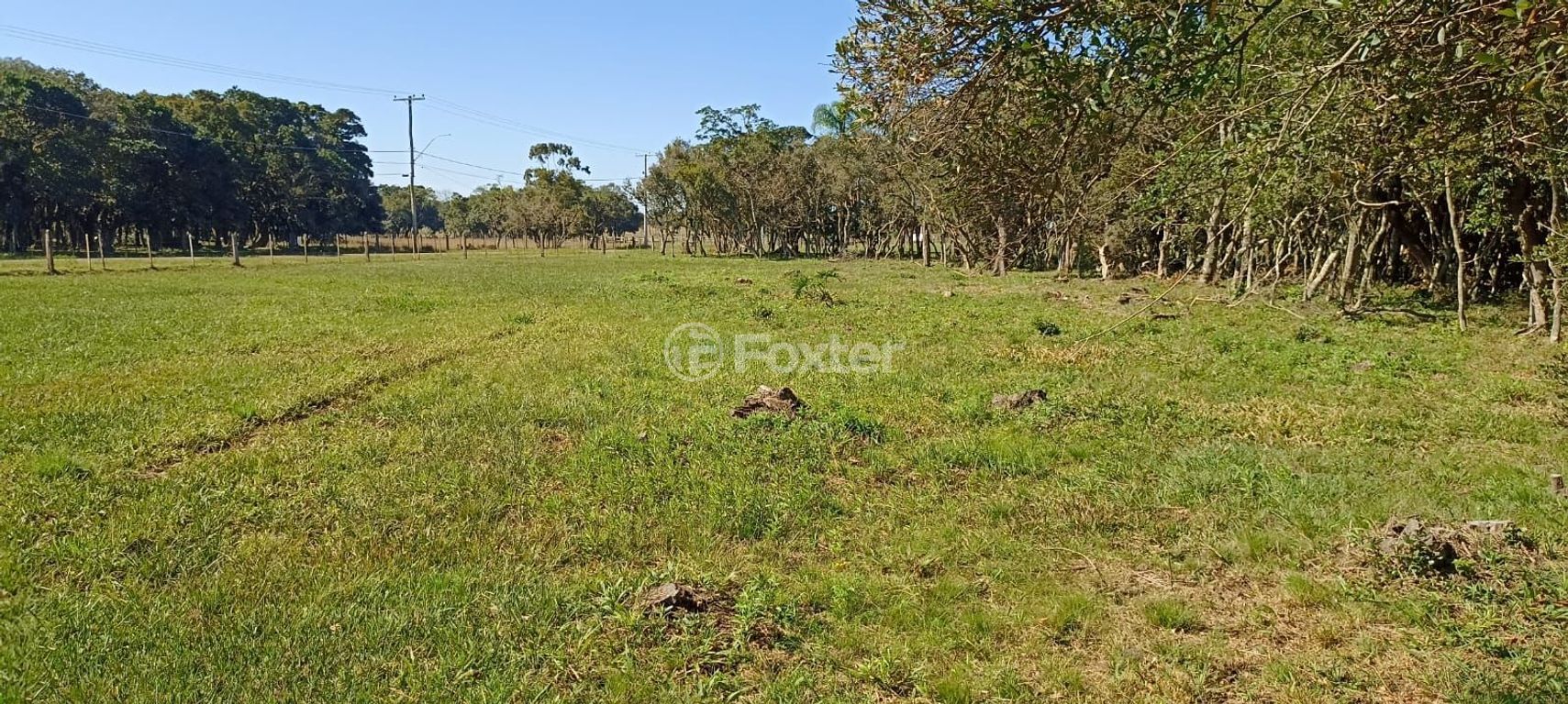 terreno lote condominio para comprar em do Palmital, km 14 - foto 15