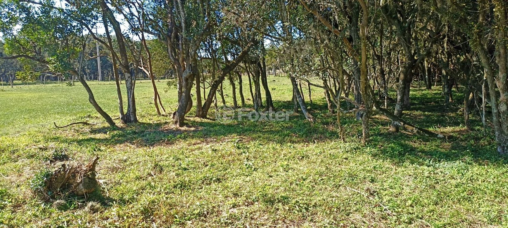 terreno lote condominio para comprar em do Palmital, km 14 - foto 17