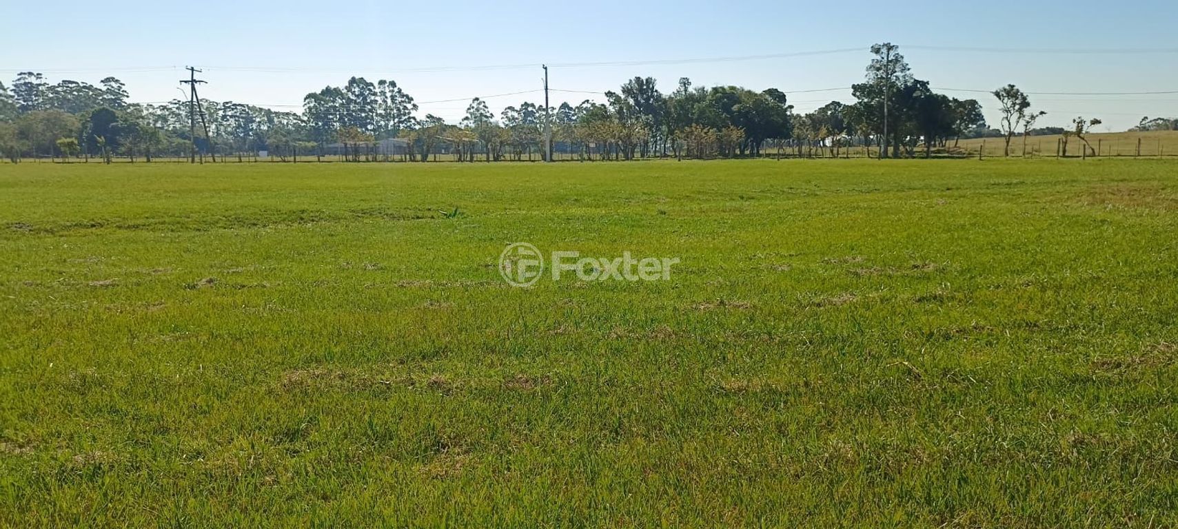 terreno lote condominio para comprar em do Palmital, km 14 - foto 17