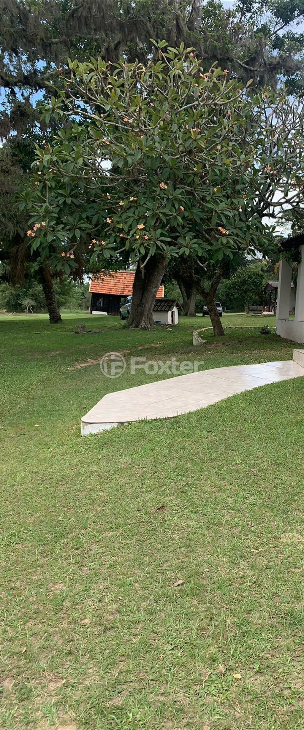 sitio chachara fazenda para comprar em do Cartório, 4701 - foto 6