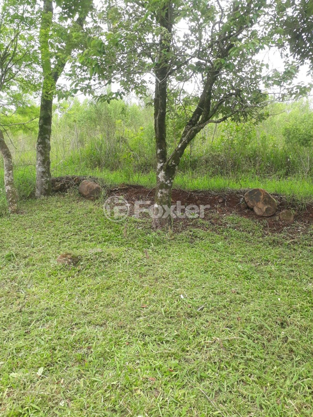 sitio chachara fazenda para comprar em da Pedreira, 0000 - foto 12