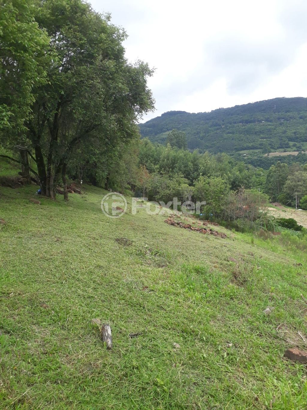 sitio chachara fazenda para comprar em da Pedreira, 0000 - foto 9