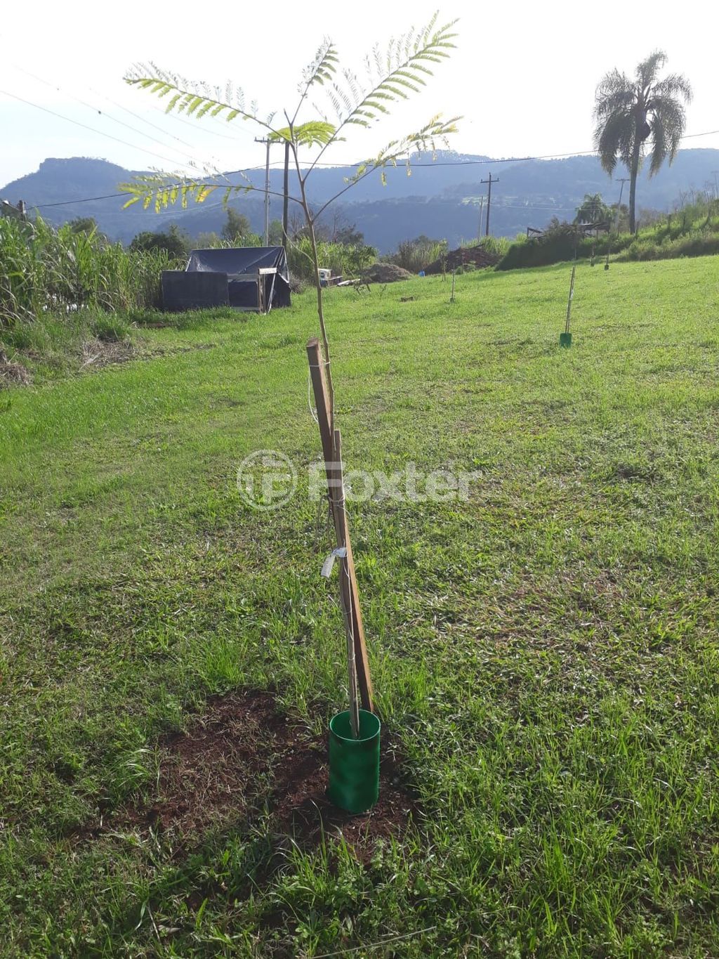 sitio chachara fazenda para comprar em da Pedreira, 0000 - foto 14