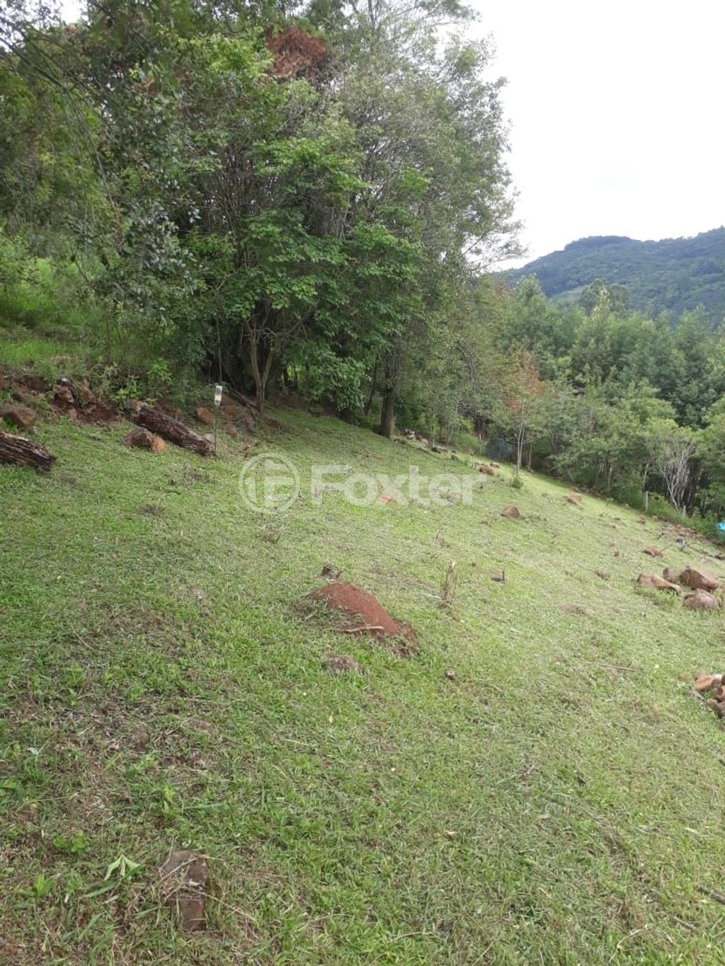 sitio chachara fazenda para comprar em da Pedreira, 0000 - foto 10