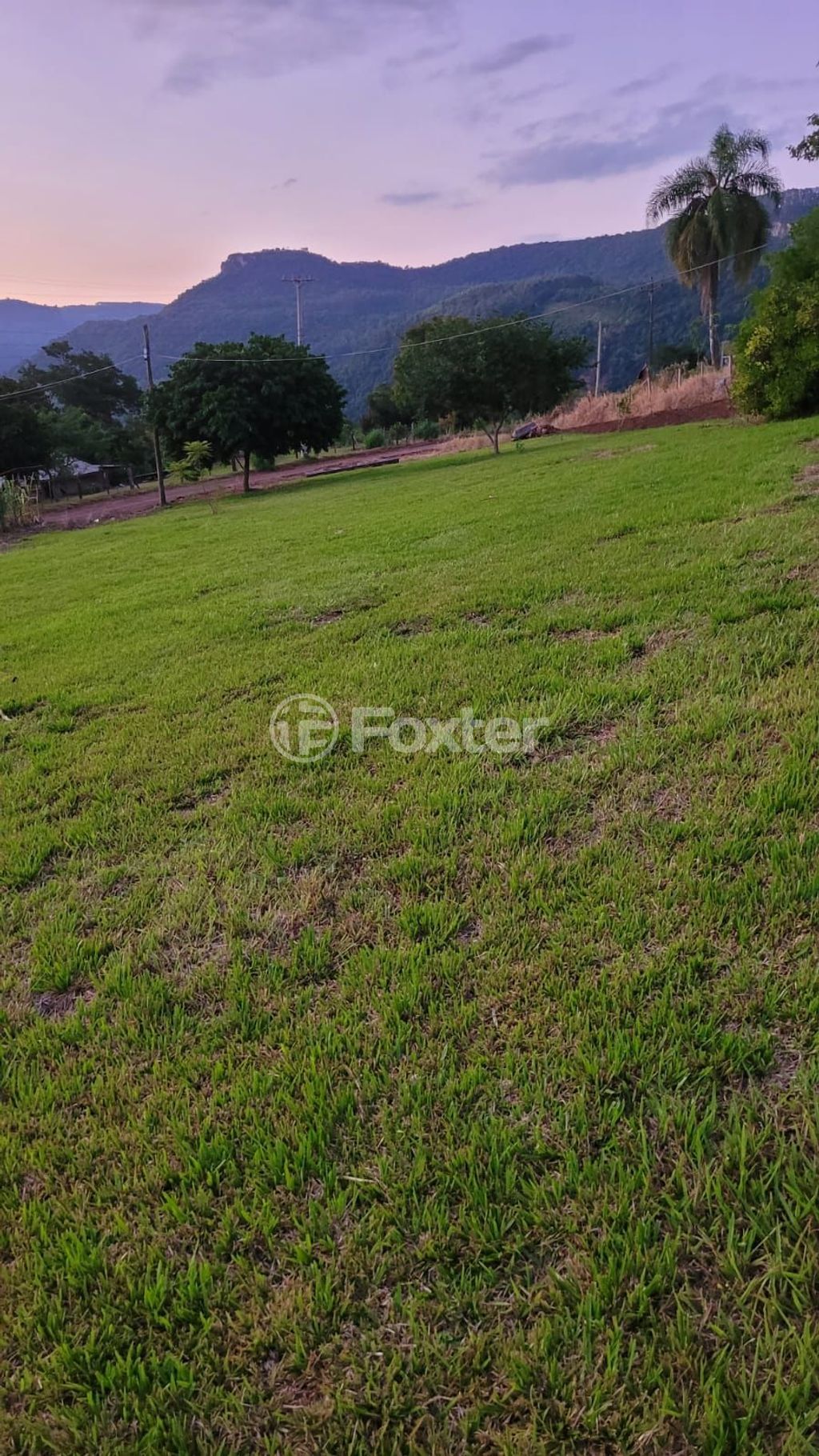 sitio chachara fazenda para comprar em da Pedreira, 0000 - foto 7