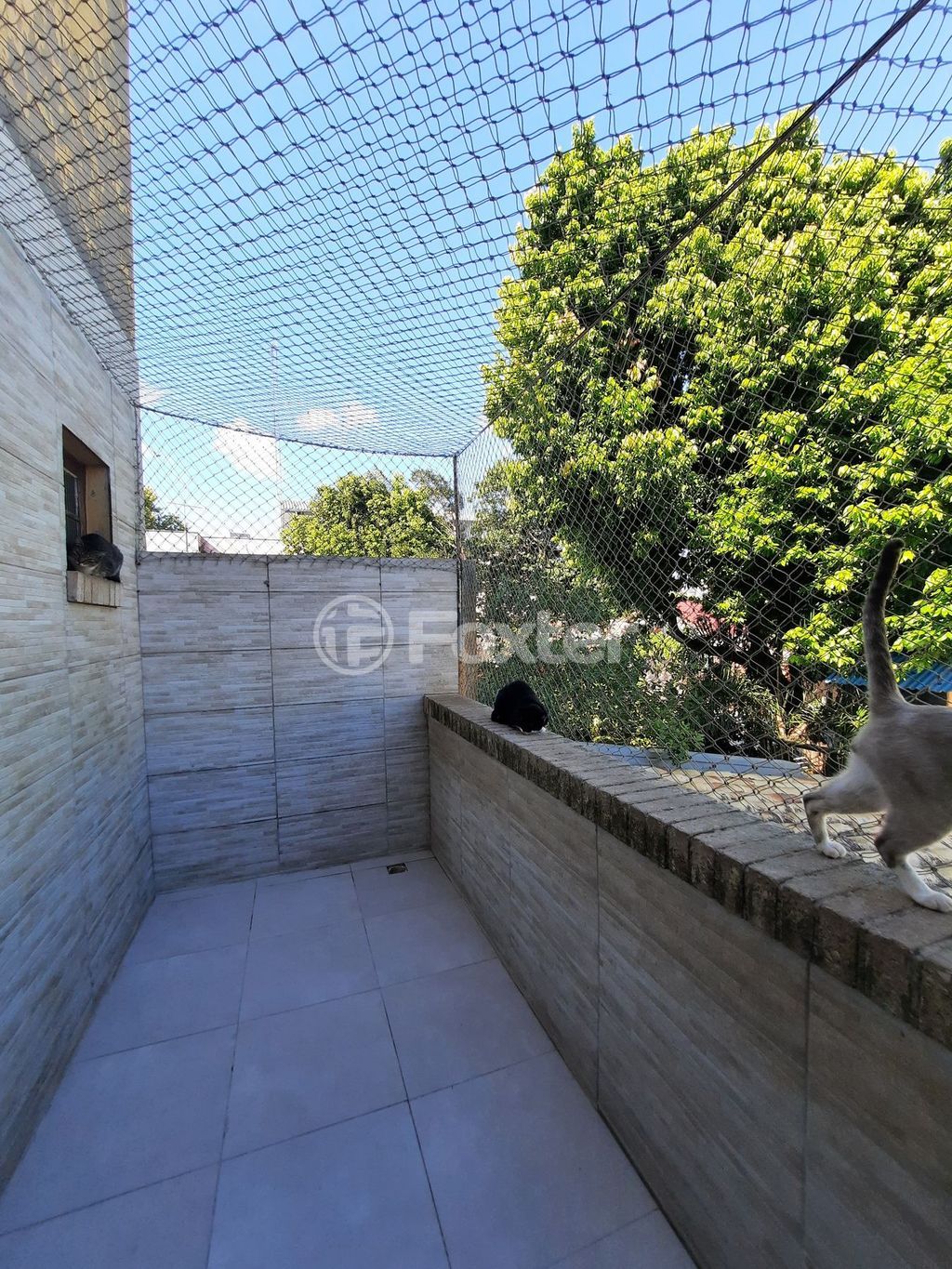 casa sobrado para comprar em Oswaldo Gonçalves Cruz, 603 - foto 15
