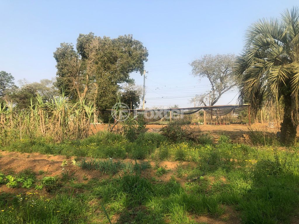 sitio chachara fazenda para comprar em Luiz Pinto Chaves de Barcelos, 766 - foto 10