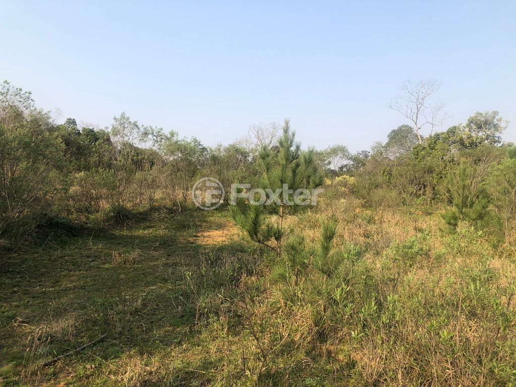 sitio chachara fazenda para comprar em Luiz Pinto Chaves de Barcelos, 766 - foto 9
