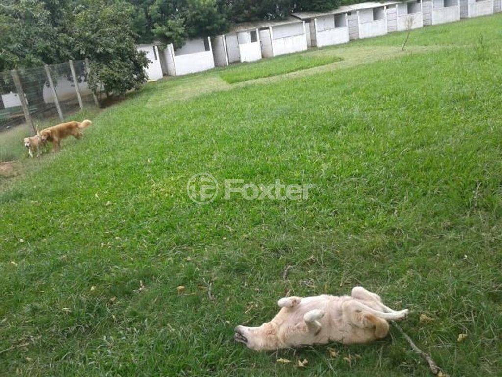 sitio chachara fazenda para comprar em Do Jaconi, 500 - foto 15