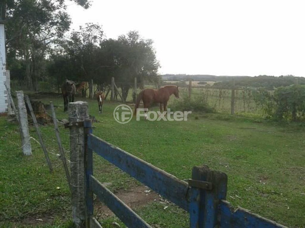 sitio chachara fazenda para comprar em Do Jaconi, 500 - foto 10