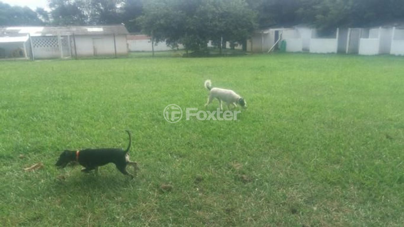 sitio chachara fazenda para comprar em Do Jaconi, 500 - foto 17