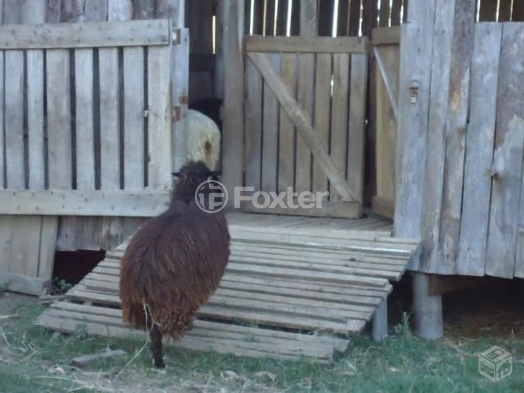 sitio chachara fazenda para comprar em Do Jaconi, 500 - foto 8