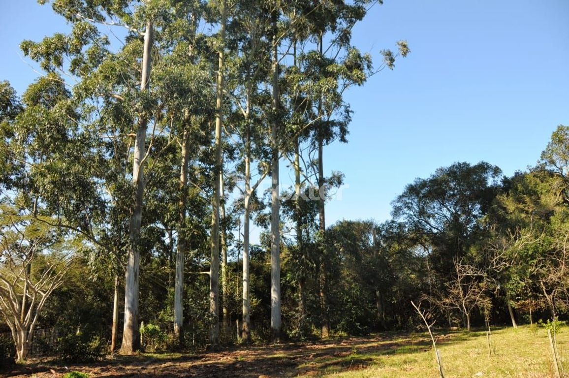 sitio chachara fazenda para comprar em Do Jaconi, 500 - foto 35