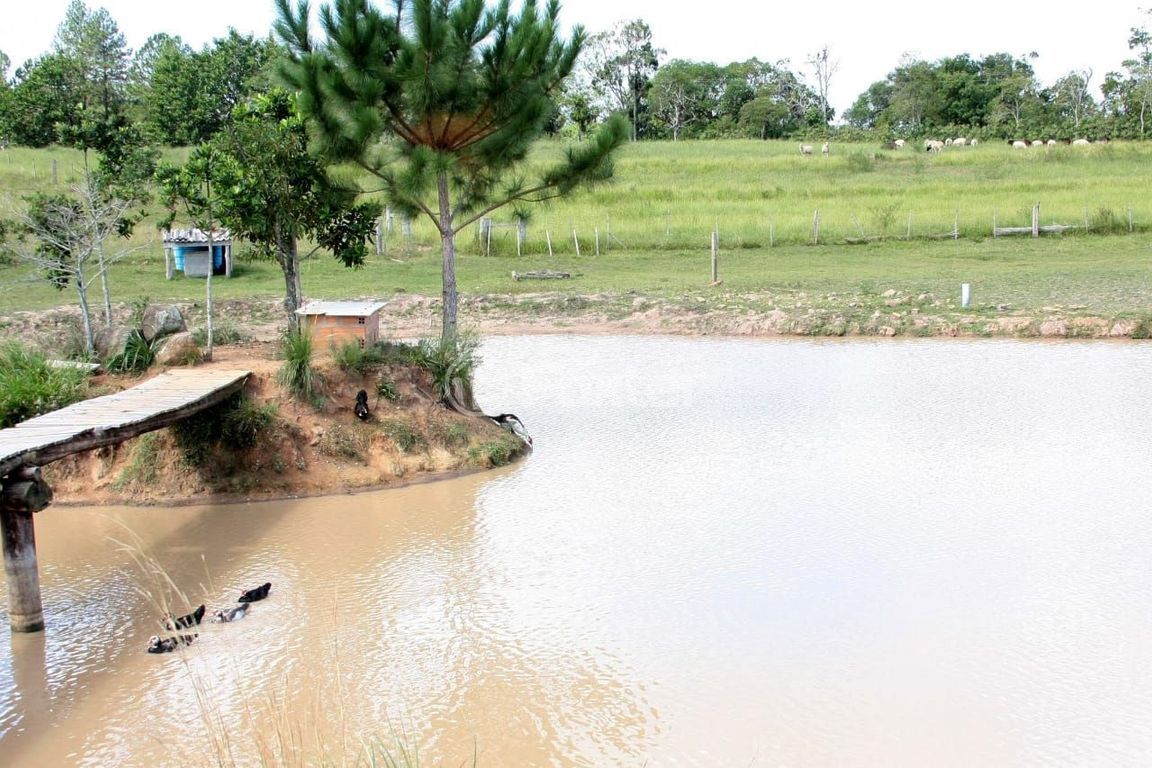 sitio chachara fazenda para comprar em Do Jaconi, 500 - foto 44