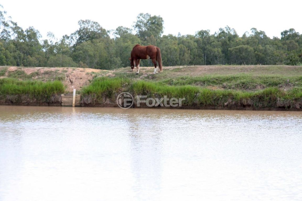 sitio chachara fazenda para comprar em Do Jaconi, 500 - foto 29